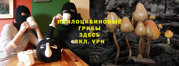 метадон Гусев